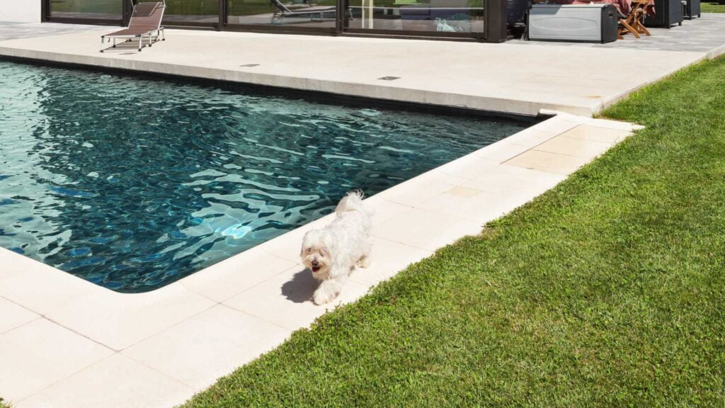 Piscine béton à skimmers à l'eau limpide en Provence · LMVP