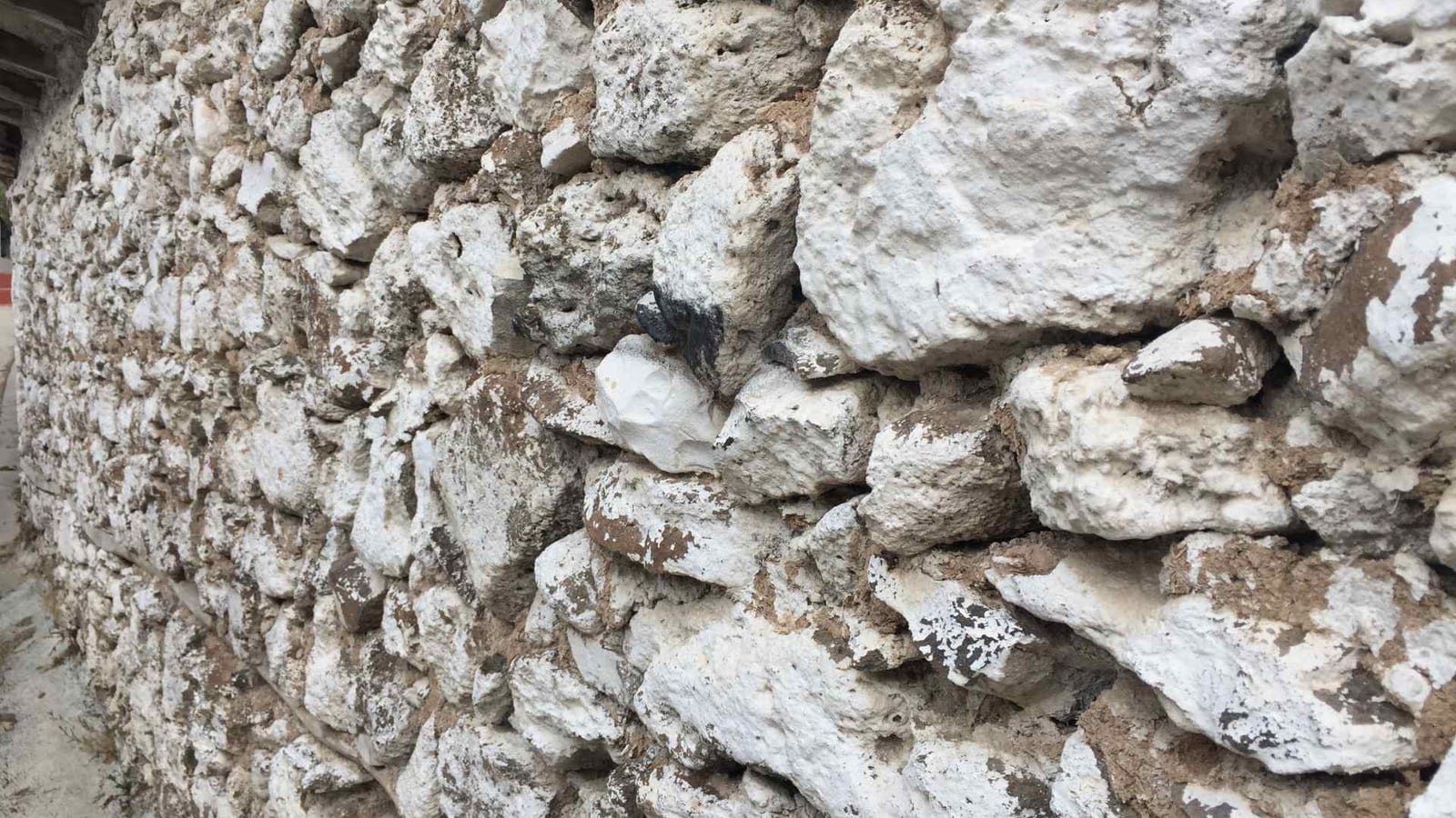 Construction mur de clôture Marseille 13015 — Les Maisons Vertes Provençales