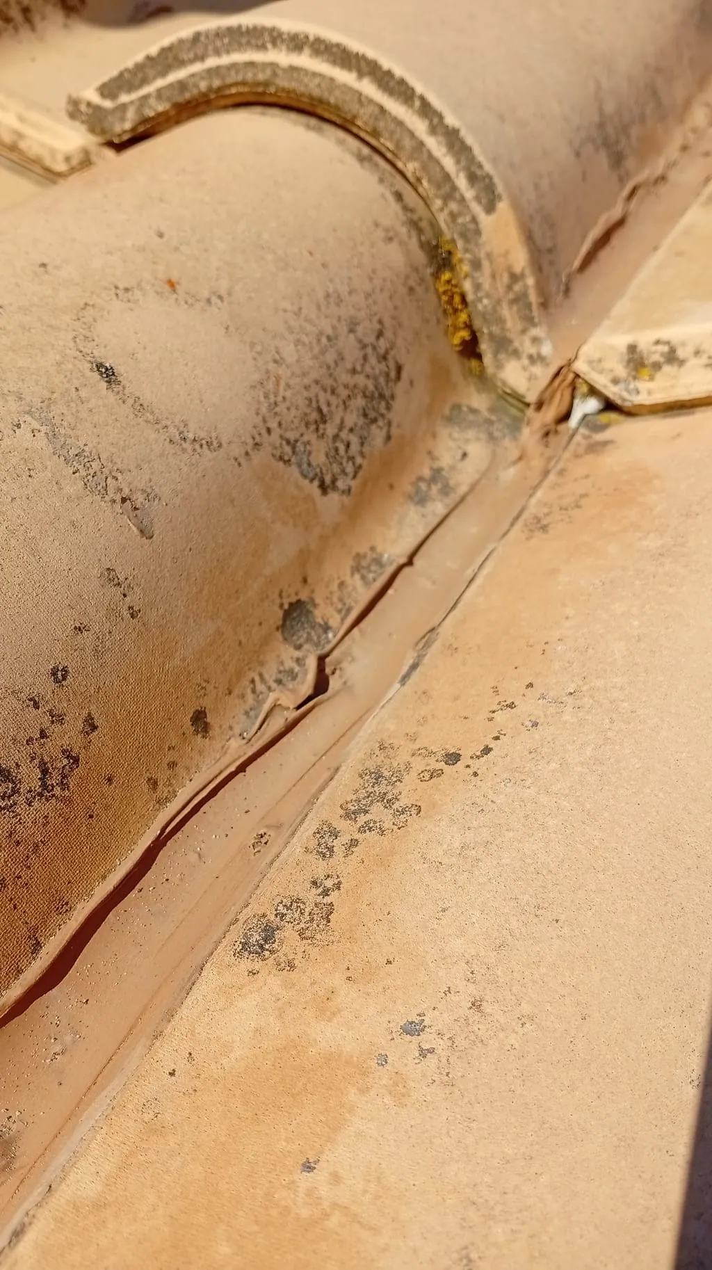 Réfection de toiture sur notre chantier de Tarascon