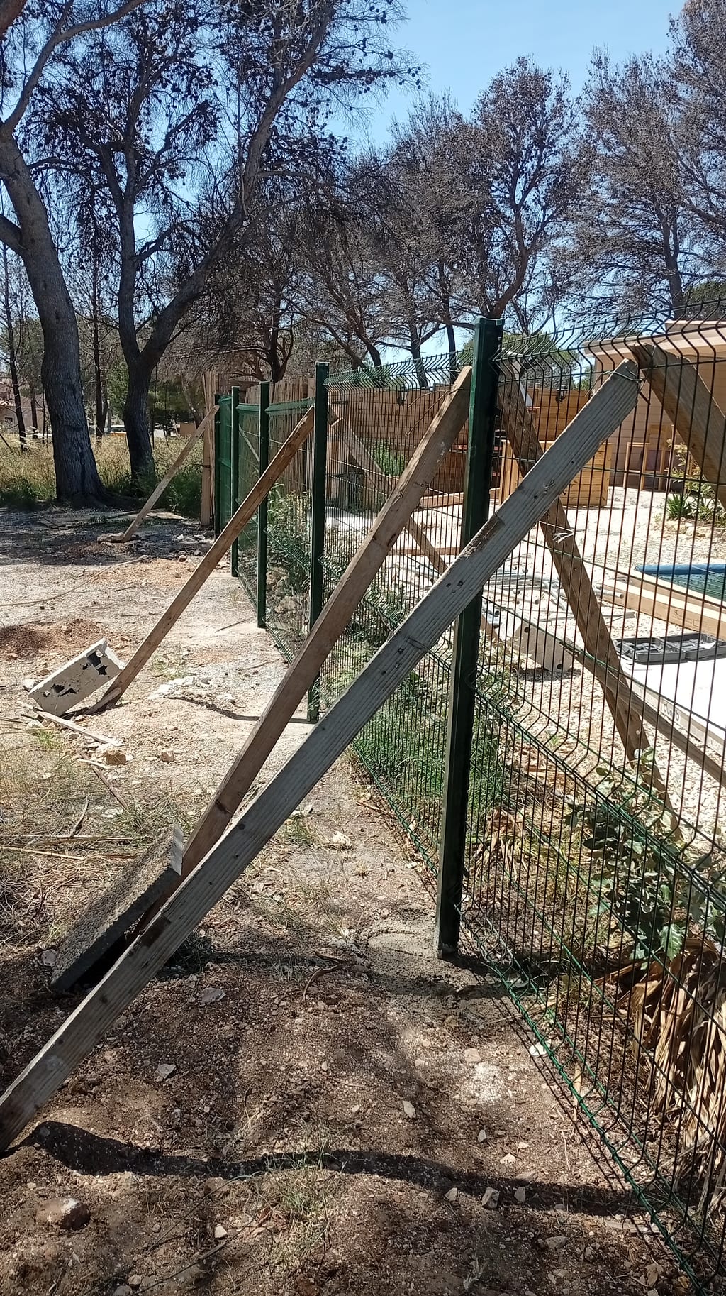 Alignement des panneaux de grillage rigide vert devant les pins calcinés par l'incendie de 2025 — Les Pennes-Mirabeau